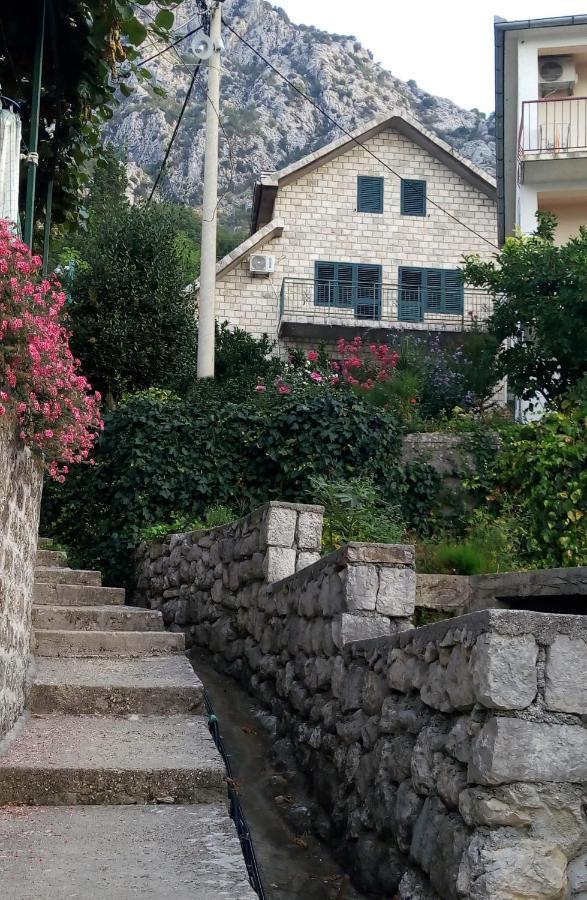 ריסאן Apartments Aleksandra מראה חיצוני תמונה