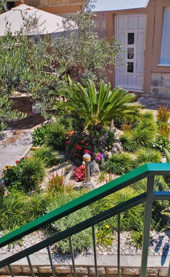 ריסאן Apartments Aleksandra מראה חיצוני תמונה